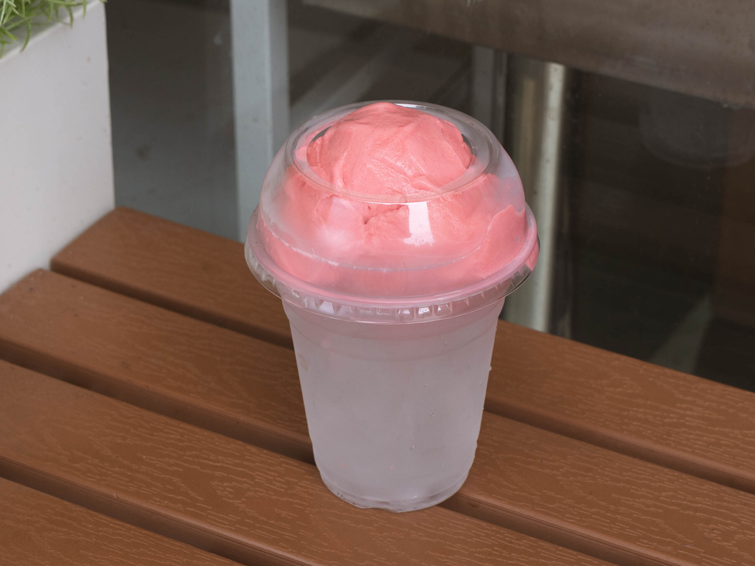 樹莓椰椰